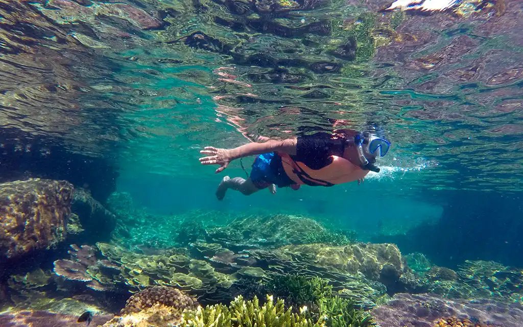 Img02-CABO-PULMO-SNORKEL.jpeg