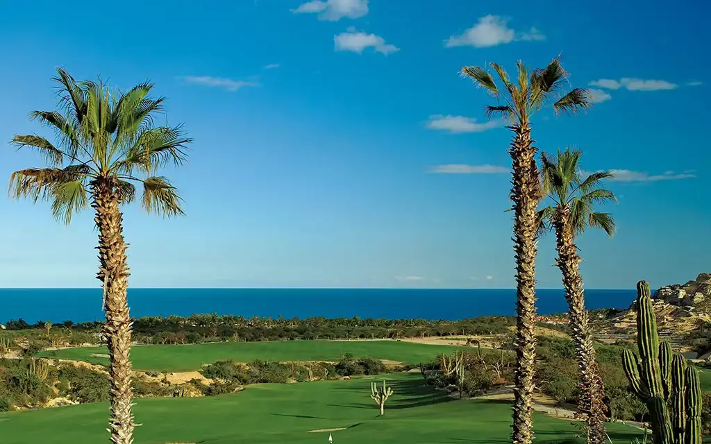 Palmilla Golf Course Cabo San Lucas | CalypsoTrip