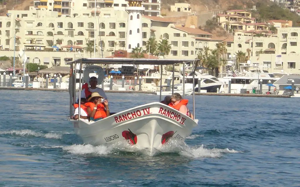 Glass Bottom Boat Ride Cabo San Lucas CalypsoTrip
