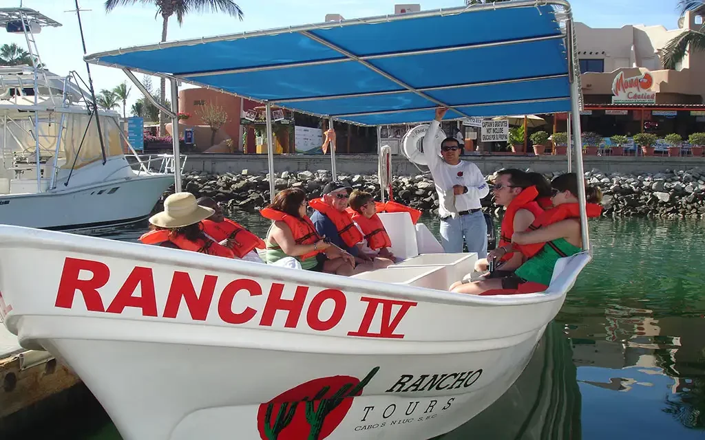 Glass Bottom Boat Ride Cabo San Lucas CalypsoTrip