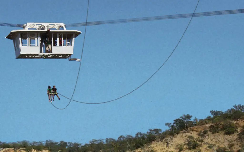 The Sling Swingers Cabo San Lucas CalypsoTrip image