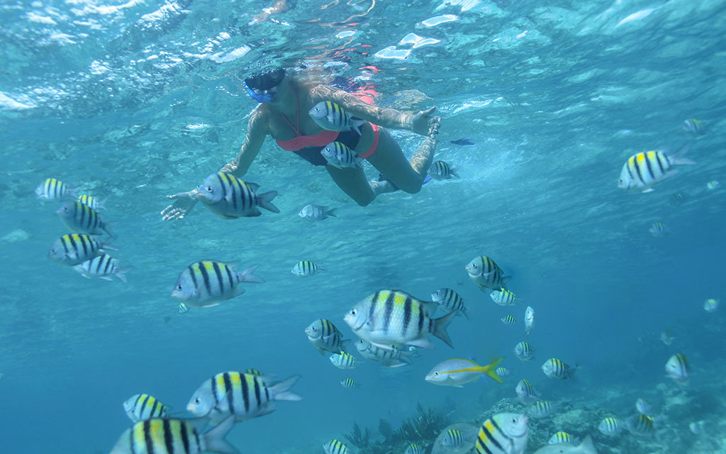 Luxury Snorkeling Puerto Vallarta | CalypsoTrip